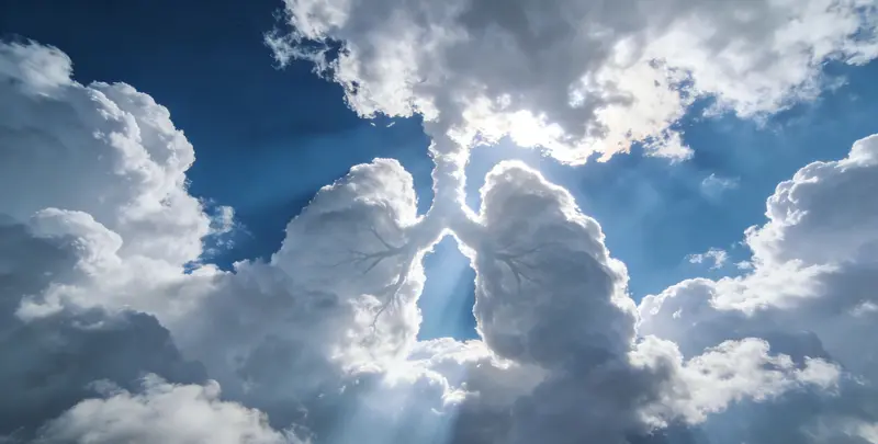 铁岭肺癌靶向120基因检测及PDL122C3表达检测套餐（组织）图片1