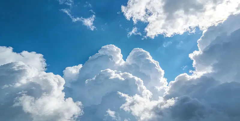 肺癌靶向120基因检测及PDL122C3表达检测套餐（组织）图2