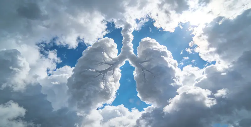 肺癌靶向120基因检测及PDL122C3表达检测套餐（组织）图4