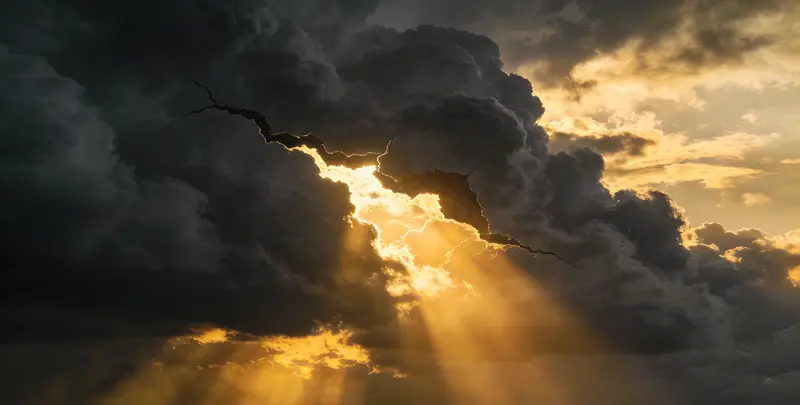 铁岭肺癌11基因检测组织版图片1