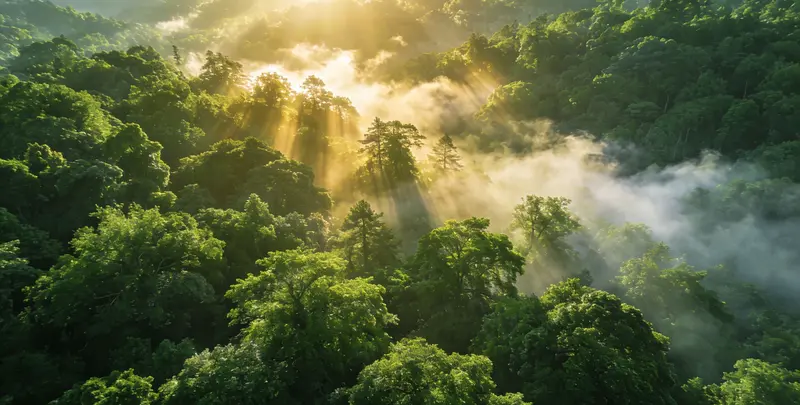 铁岭肺癌8基因突变检测（组织）图片1