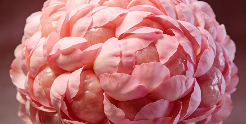 铁岭BRCA1/2乳腺癌卵巢癌基因检测图片1